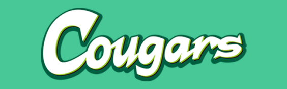 Wリーグ　日立ハイテククーガーズ